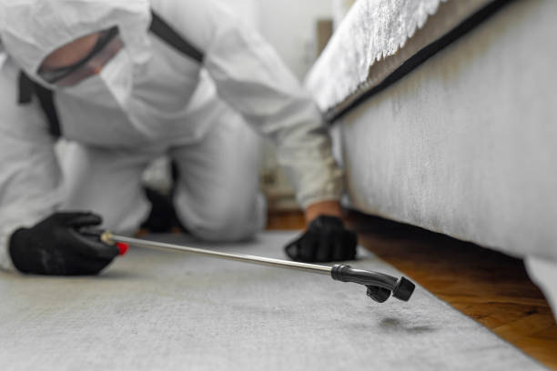 Professional Bed Bug Control technician working in Fort Stockton, TX
