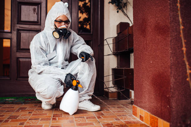 Reliable Bed Bug Control contractor in Fort Stockton, TX by Nex Pest Control