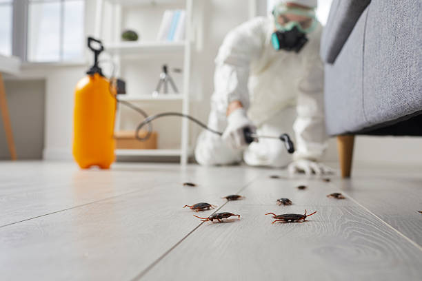 Trusted Emergency Pest Control service in Fort Stockton, TX - Nex Pest Control