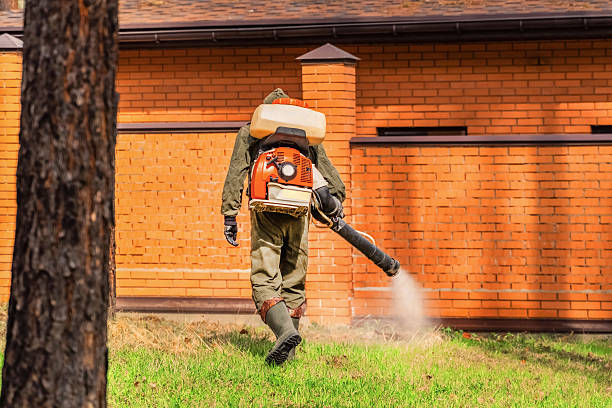 Trusted Bed Bug Control service in Fort Stockton, TX - Nex Pest Control